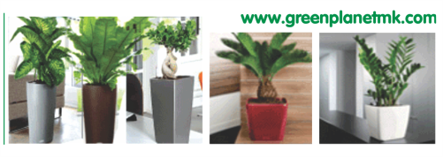 ГРИН ПЛАНЕТ